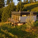 Purple Hands Winery Pickup Party