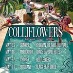 The Colliflowers 'Reruns Tour' Sydney