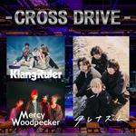 CROSS DRIVE