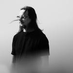 Free Sequence Label Night