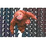 UNKY BONES @ SPRINGFEST