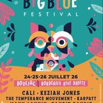 Big Blue Festival 2026