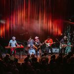 Honeybear at Upstairs