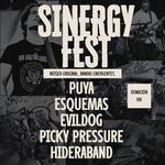 Sinergy Fest
