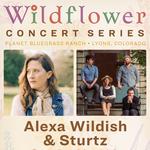 Alexa  Wildish (with her band) & Sturtz at The Wildflower Pavilion at Planet Bluegrass