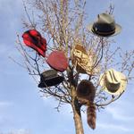 Songwriters in the round with Dan Blakeslee, Charlie Chronopoulos and Chadley Kolb