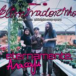 eliminadorzinho eternamente, Aracaju.