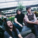 eliminadorzinho eternamente, guarulhos