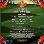 Big Dub Festival 2026