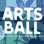 Crested Butte 2026 Arts Ball