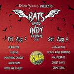Bats Over Indy Festival | Healer DIY - Day 1 of 2 | 8/7/26