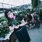 eliminadorzinho eternamente, Blumenau