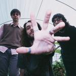 eliminadorzinho eternamente, Curitiba