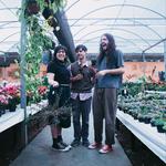 eliminadorzinho eternamente, Maringa