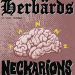 Herbärds und Neckarions in Ulm!