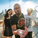 ביש בש במרי לייב, חיפה!