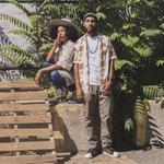 Concert in the Park: The Reminders