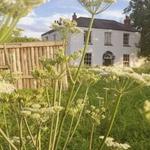 A Summers Day 3