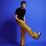 17 de abril - Gala IPO, Coliseu do Porto, Porto 