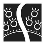 Fake News brings the music of Huey Lewis & The News to Hartford, WI