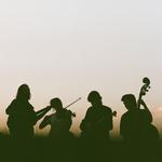 The Last Wild Buffalo