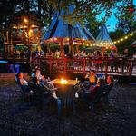 Meet the Bacons duo @The Blueberry Treehouse Farm