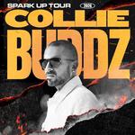 Collie Buddz "Spark Up Tour" w/ Kash'd Out