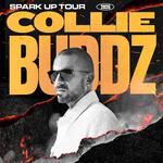 Collie Buddz "Spark Up Tour" w/ Kash'd Out