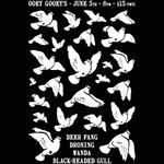 Deer Fang/Droning/Wanda/Black-Headed Gull