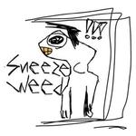 Sneezeweed @ My Sister's House (5/30)