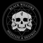 Black Willows w/All Them Witches