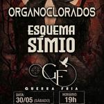 Três bandas do rock baiano