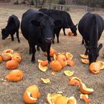 Private Event - Rockhill