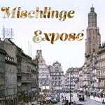 The Mischlinge Exposé at Osher Marin JCC
