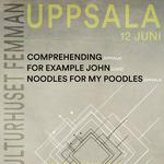 COMPREHENDING | FOR EXAMPLE JOHN | NOODLES FOR MY POODLES | FEMMAN UPPSALA