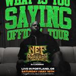 What is you Saying Tour