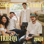 Concert Tribeqa Au Bateau-Lavoir Nantes