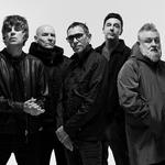 Shed Seven