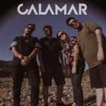 calamar