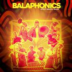 Balaphonics @ Fête Interculturelle (72)