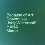 Anjunadeep Openair Washington DC