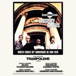 Ocean Colour Scene + Trampolene 