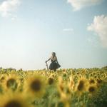 Johanna Rose & The Dreamboats