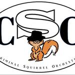 Criminal Squirrel Orchestra at Mt. Vernon Fireworks