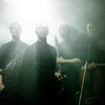 Love Bird Festival 2026