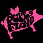 Pete Floyd at Crystal Bay Casino