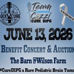 Aaron Crawford at Rock2Cure - Team Cozzi Benefit