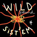 Wild Sound Sis'tem au Château Pergaud