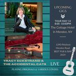 Tracy Eckstrand & The Accidental Cats