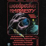 Weedpecker, Ampacity, Snakes Snakes Snakes | WROCŁAW